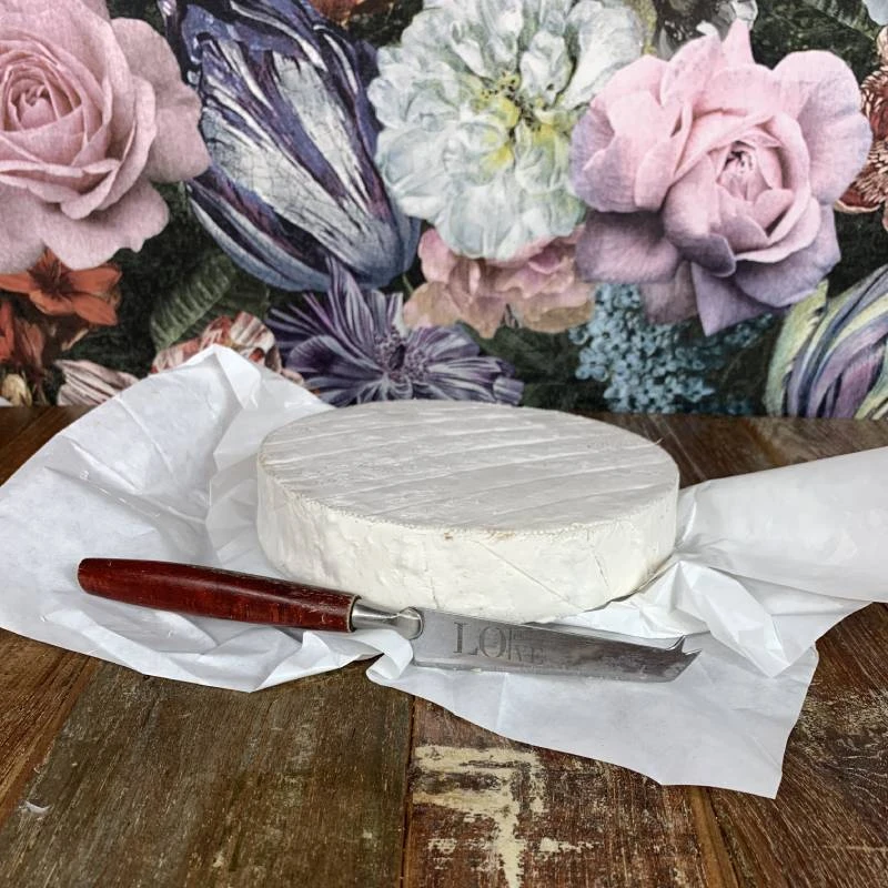 What is Vegetarian Cheese? A Cheesemonger's Guide 1 Wigmore vegetarian cheese