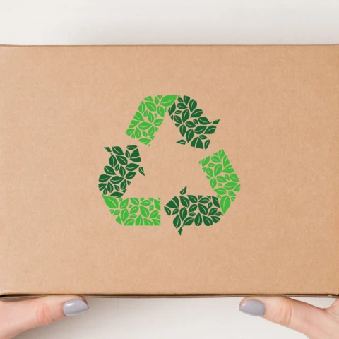 Sustainability is cool! Love Cheese and Environmental Responsibility