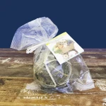 Fig Ball